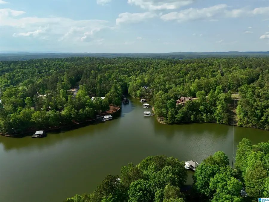 lots 125 RED CEDAR DRIVE, Wedowee, AL 36278 - #3