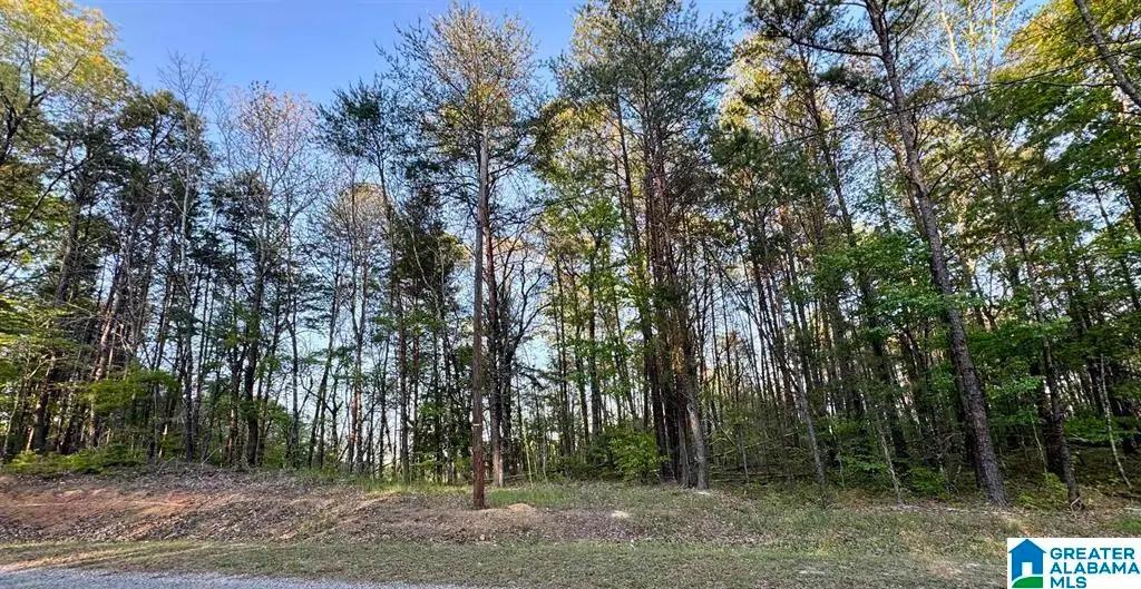 1485 HIAWATHA ROAD, Calera, AL 35040 - #1