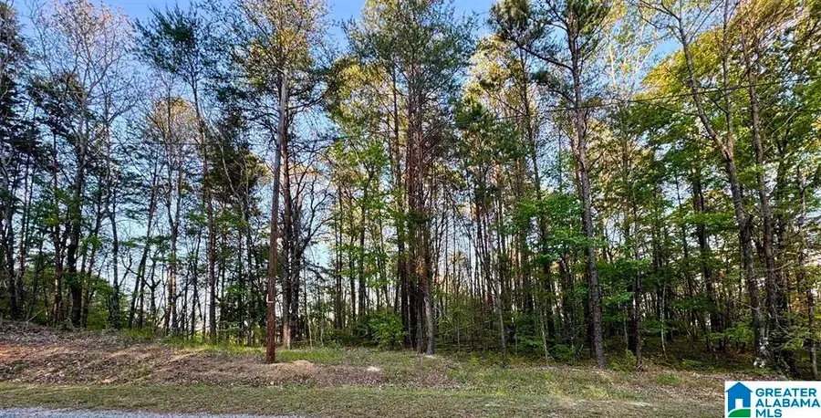 1485 HIAWATHA ROAD, Calera, AL 35040 - #2
