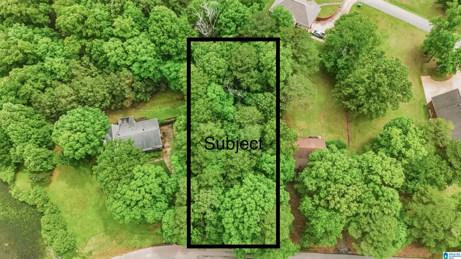 00 ALLISON DRIVE, Lake View, AL 35111 - #2