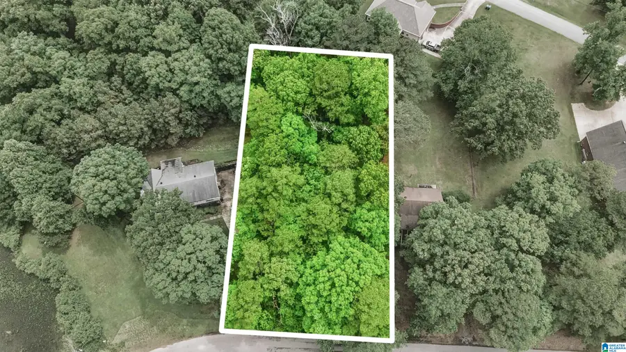 00 ALLISON DRIVE, Lake View, AL 35111 - #3