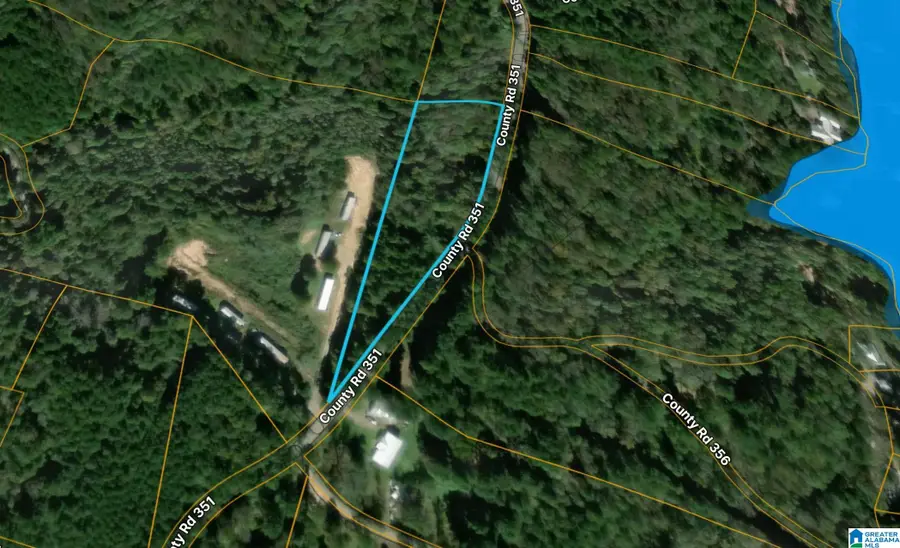 2976 COUNTY ROAD 351, Crane Hill, AL 35053 - #3