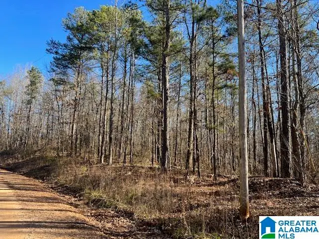 0 CREEK ROAD, Ashland, AL 36251 - #1
