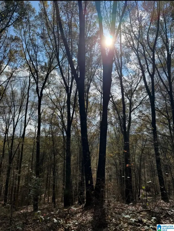 0 COUNTY ROAD 42, Oneonta, AL 35121