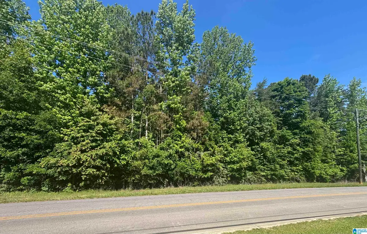 0 SPRINGVILLE BOULEVARD, Oneonta, AL 35121 - #1