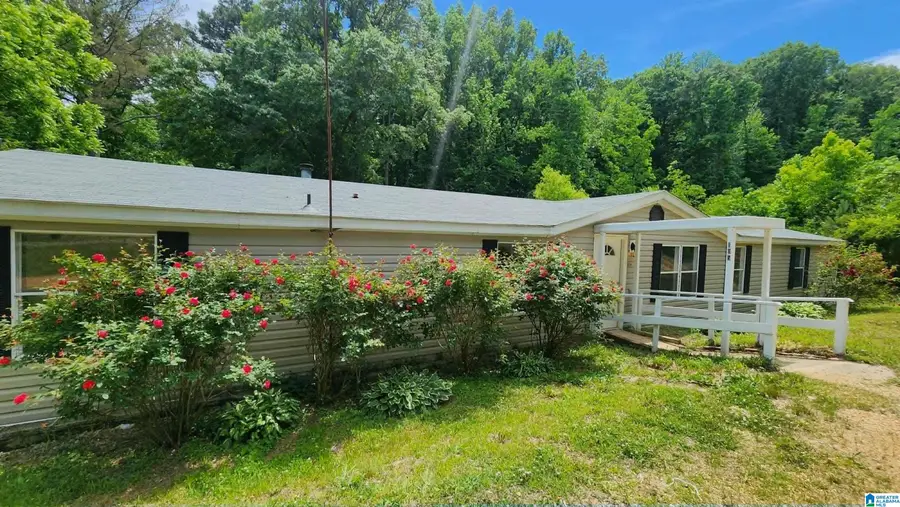 105 21ST STREET, Townley, AL 35587 - #3