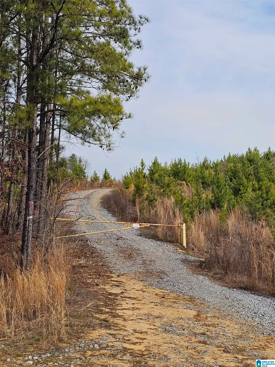 0 PROVIDENCE ROAD, Talladega, AL 35160 - #2