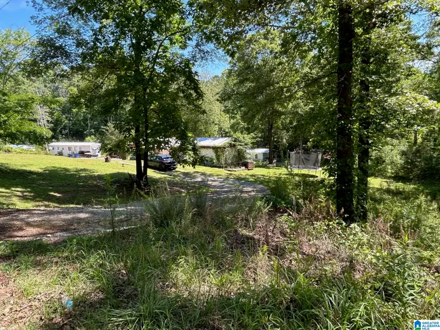 385 COBB ROAD, Ohatchee, AL 36271 - #2