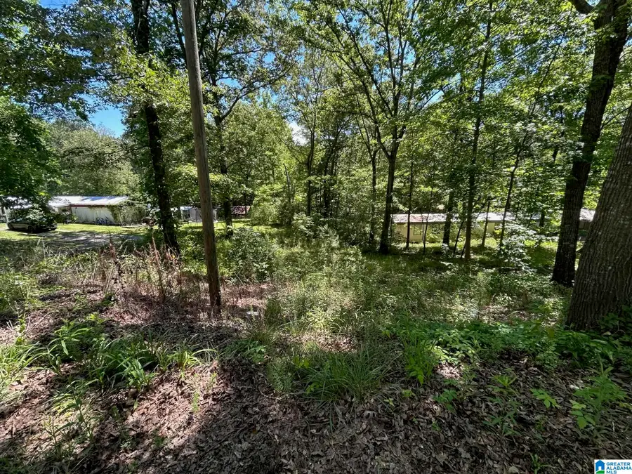 385 COBB ROAD, Ohatchee, AL 36271 - #3