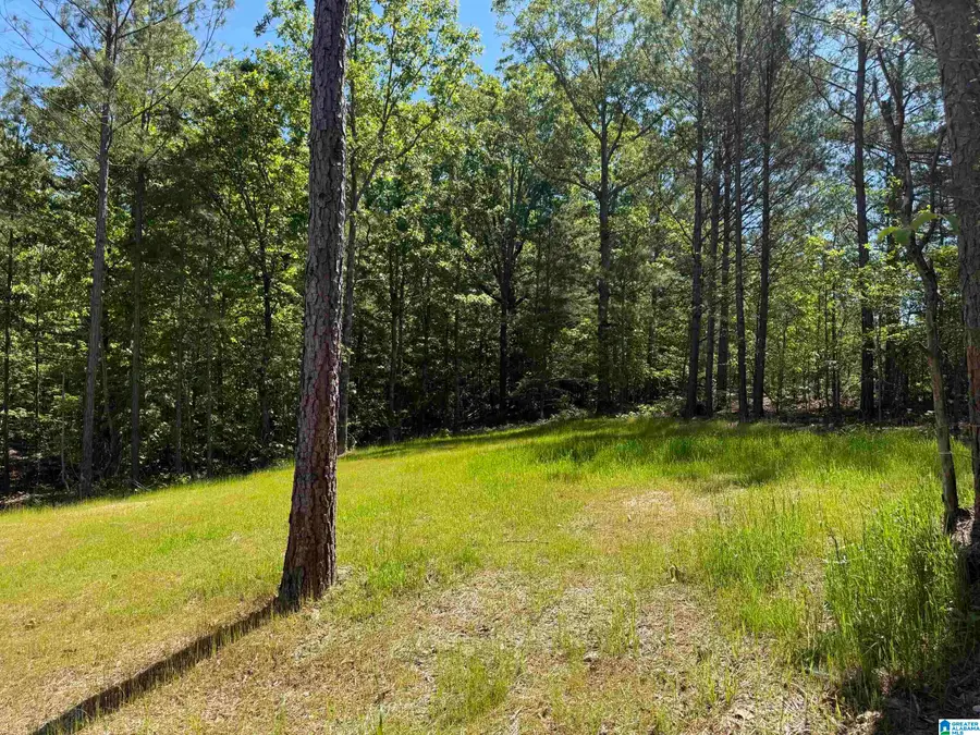 710 WALNUT COVE, Odenville, AL 35120 - #3