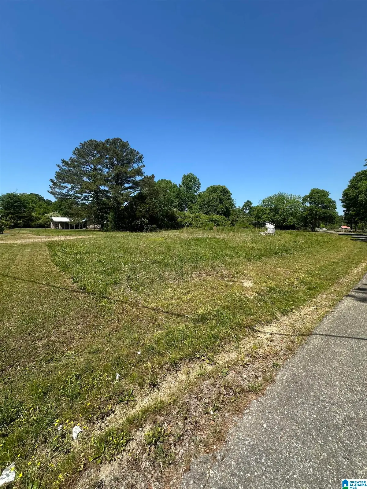 3101 US HIGHWAY 11 S, Attalla, AL 35954 - #1
