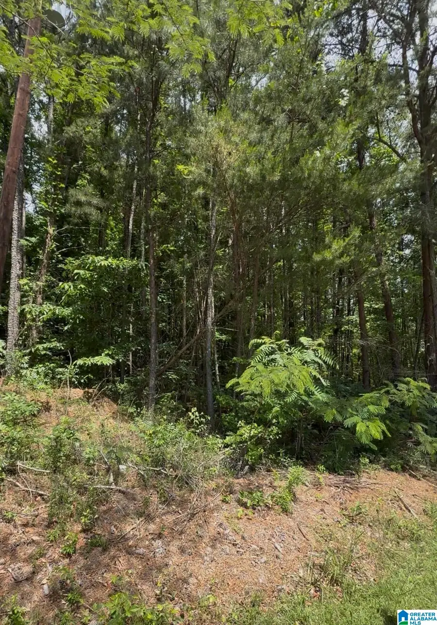 1501 MARTIN LUTHER KING DRIVE, Hobson City, AL 36201 - #3