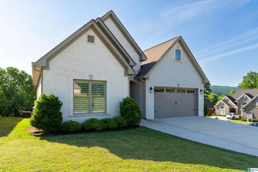 137 BRIARWOOD STREET, Springville, AL 35146 - #3