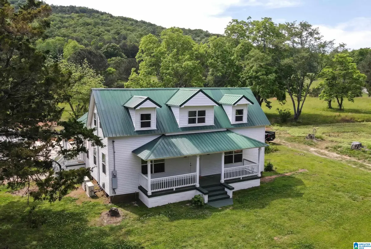 333 HOLLINGSWORTH ROAD, Jacksonville, AL 36265 - #1
