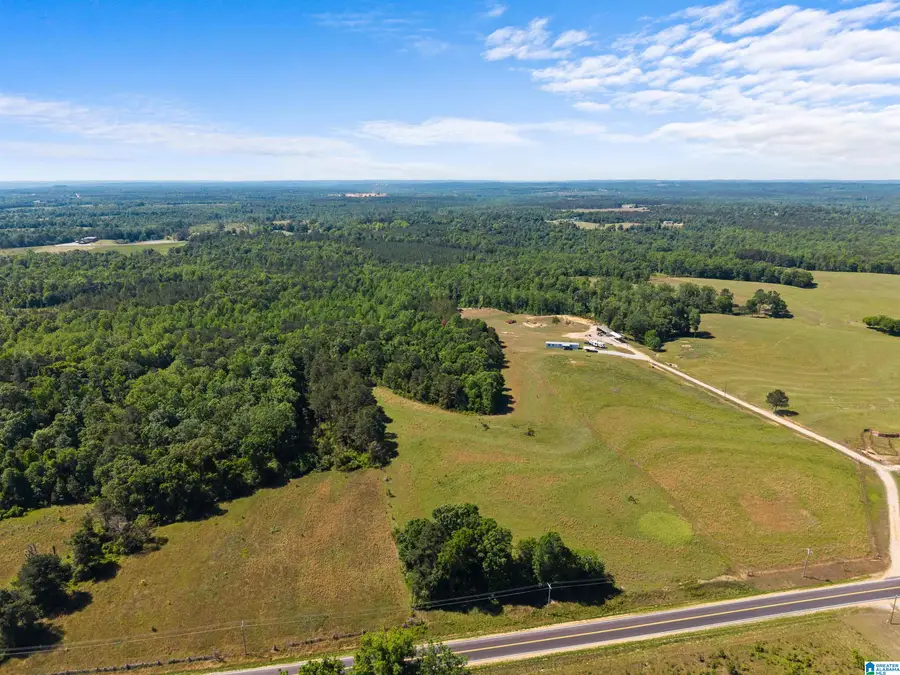 COUNTY ROAD 16, Clanton, AL 35045 - #2
