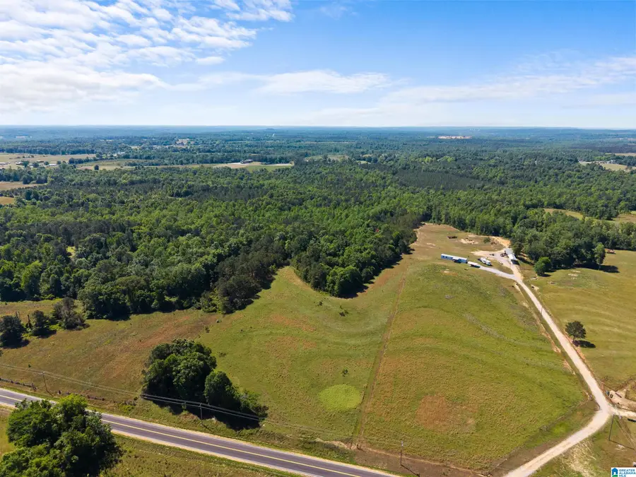 COUNTY ROAD 16, Clanton, AL 35045 - #3