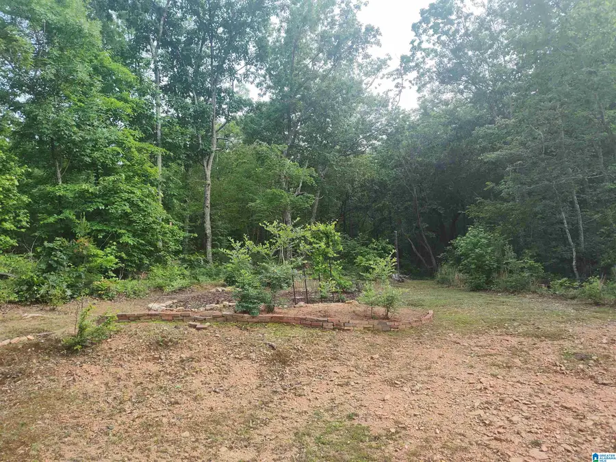 1245 KIMBERLY ROAD, Sylacauga, AL 35150 - #2