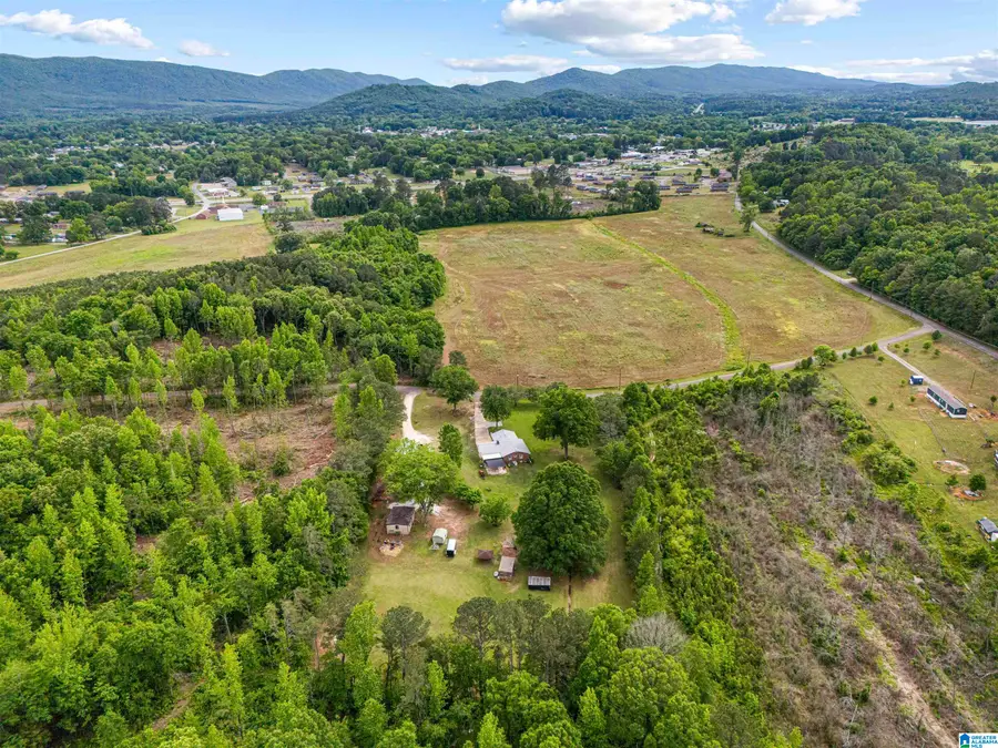 149 OAK GLEN ROAD, Piedmont, AL 36272 - #2