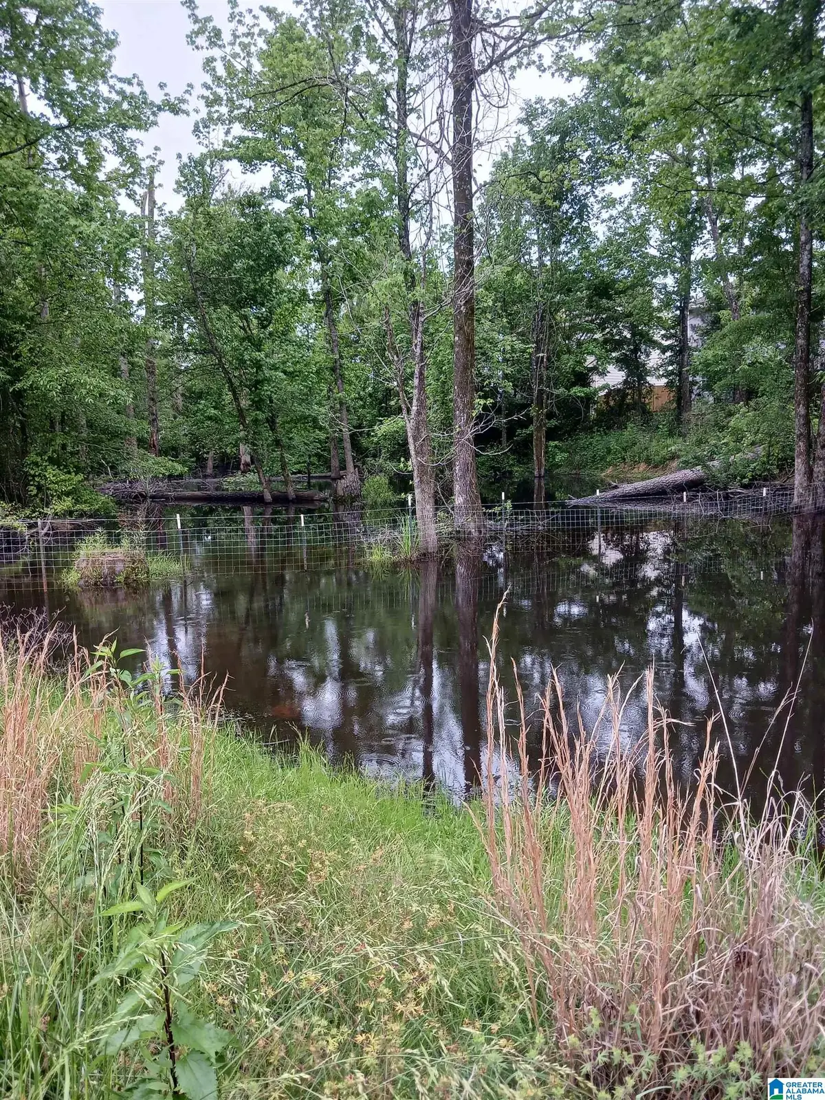 1991 NIXON ROAD, Bessemer, AL 35022 - #1