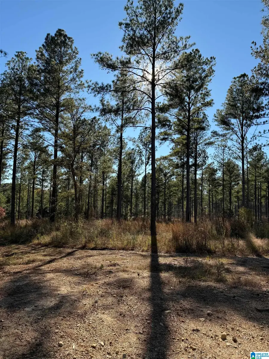 1233 WATTS ROAD, Munford, AL 36268 - #3