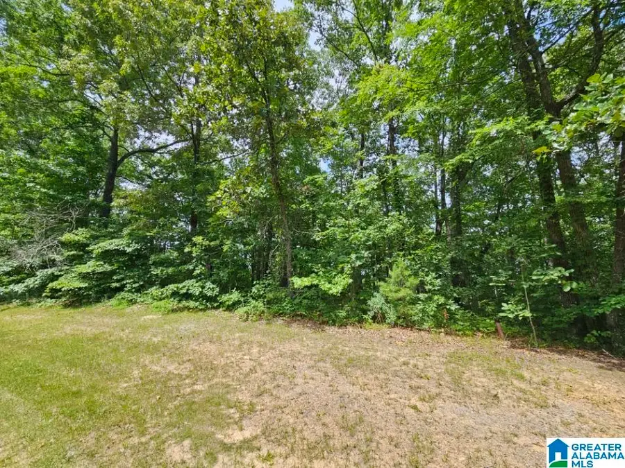0 ARADON TRACE, Odenville, AL 35120 - #2