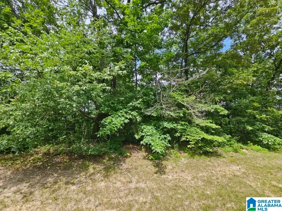 0 ARADON TRACE, Odenville, AL 35120 - #3
