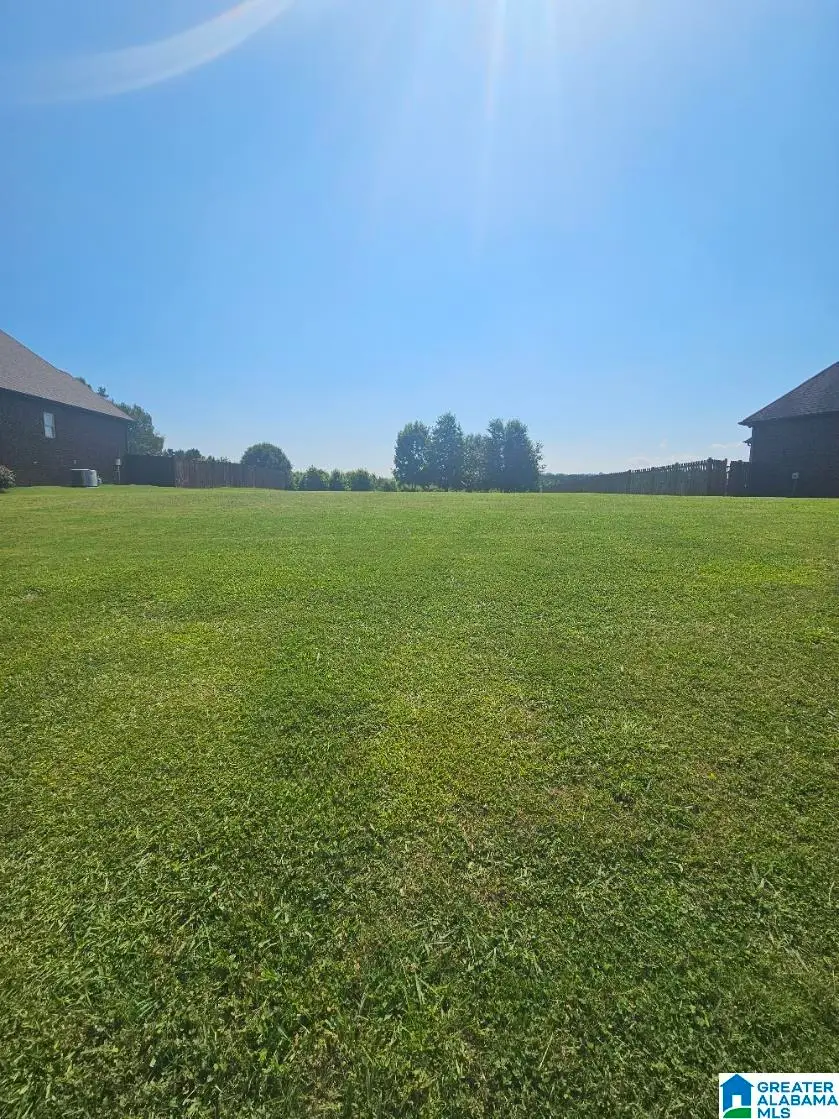 560 WILLOW BRANCH ROAD, Odenville, AL 35120 - #1