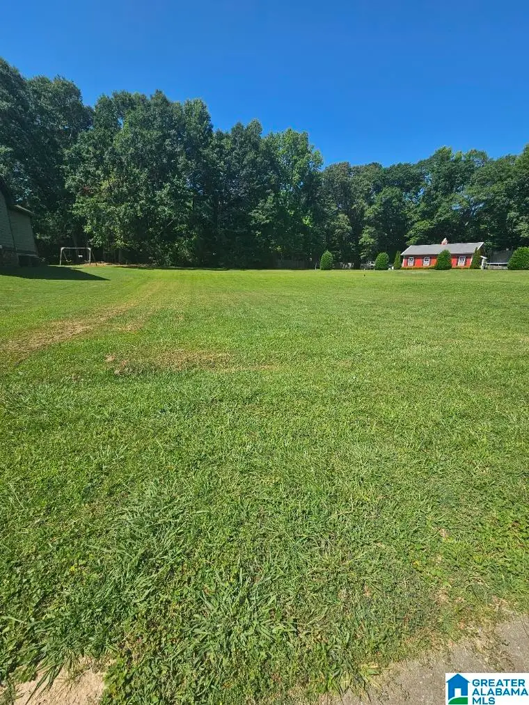 525 WILLOW BRANCH ROAD, Odenville, AL 35120 - #1