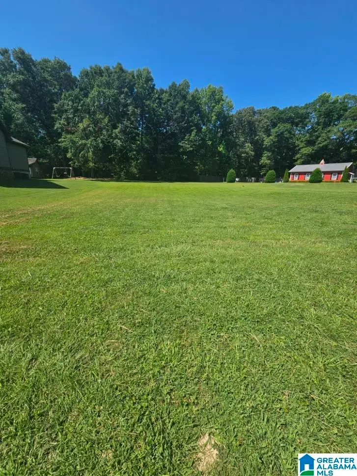 525 WILLOW BRANCH ROAD, Odenville, AL 35120 - #2