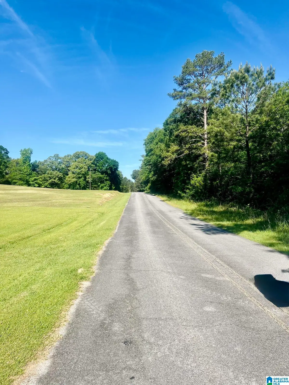 940 COUNTY ROAD 174, Piedmont, AL 36272 - #1