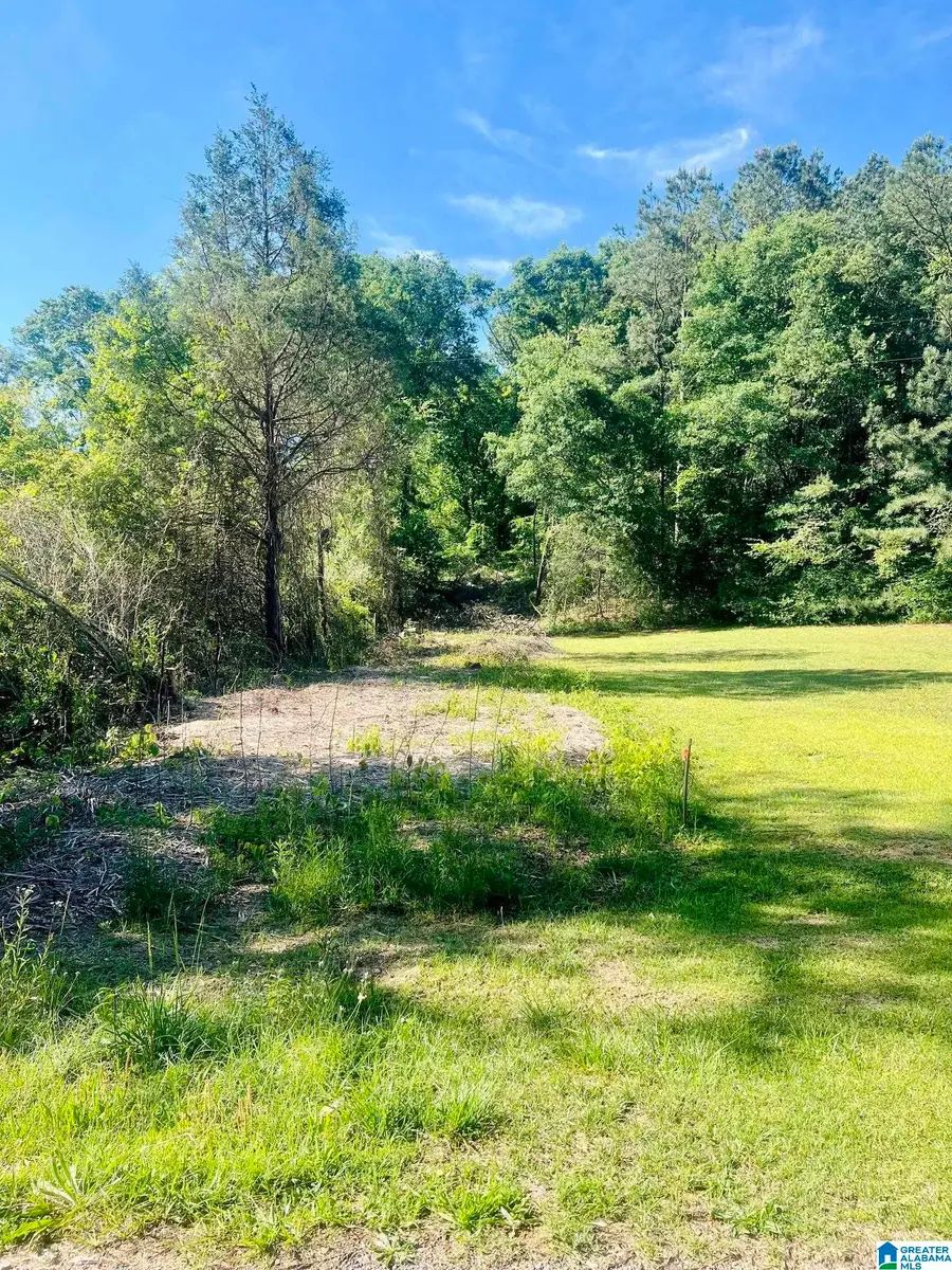 940 COUNTY ROAD 174, Piedmont, AL 36272 - #2