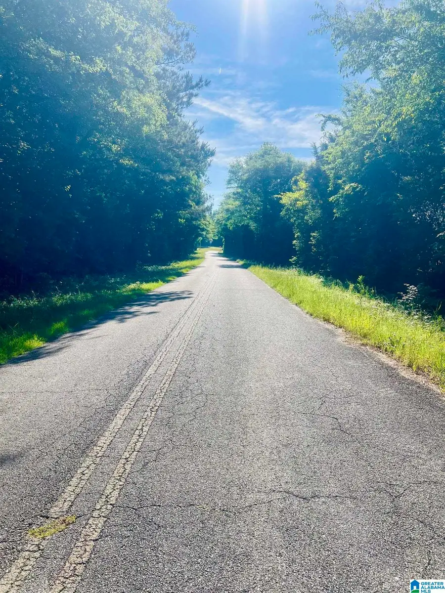 940 COUNTY ROAD 174, Piedmont, AL 36272 - #3