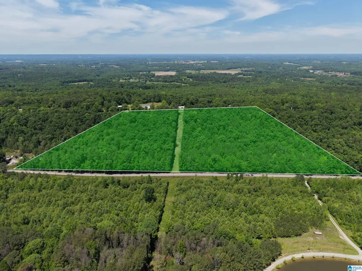 17 Acres COUNTY HIGHWAY 26, Blountsville, AL 35031 - #1