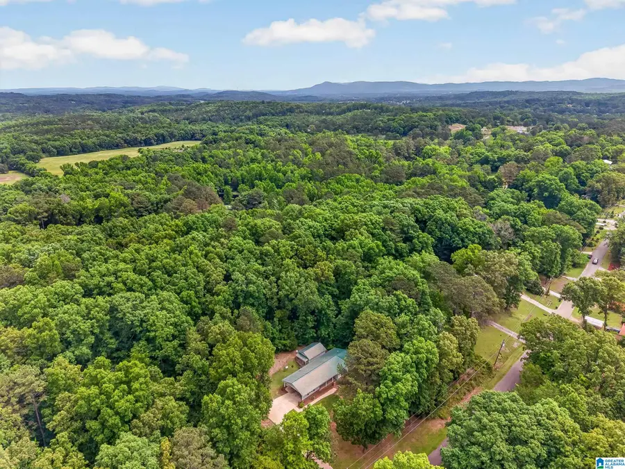 1301 HILLCREST DRIVE, Weaver, AL 36277 - #2