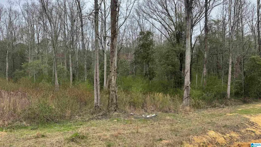 2187 COUNTY ROAD 340, Maplesville, AL 36750 - #2