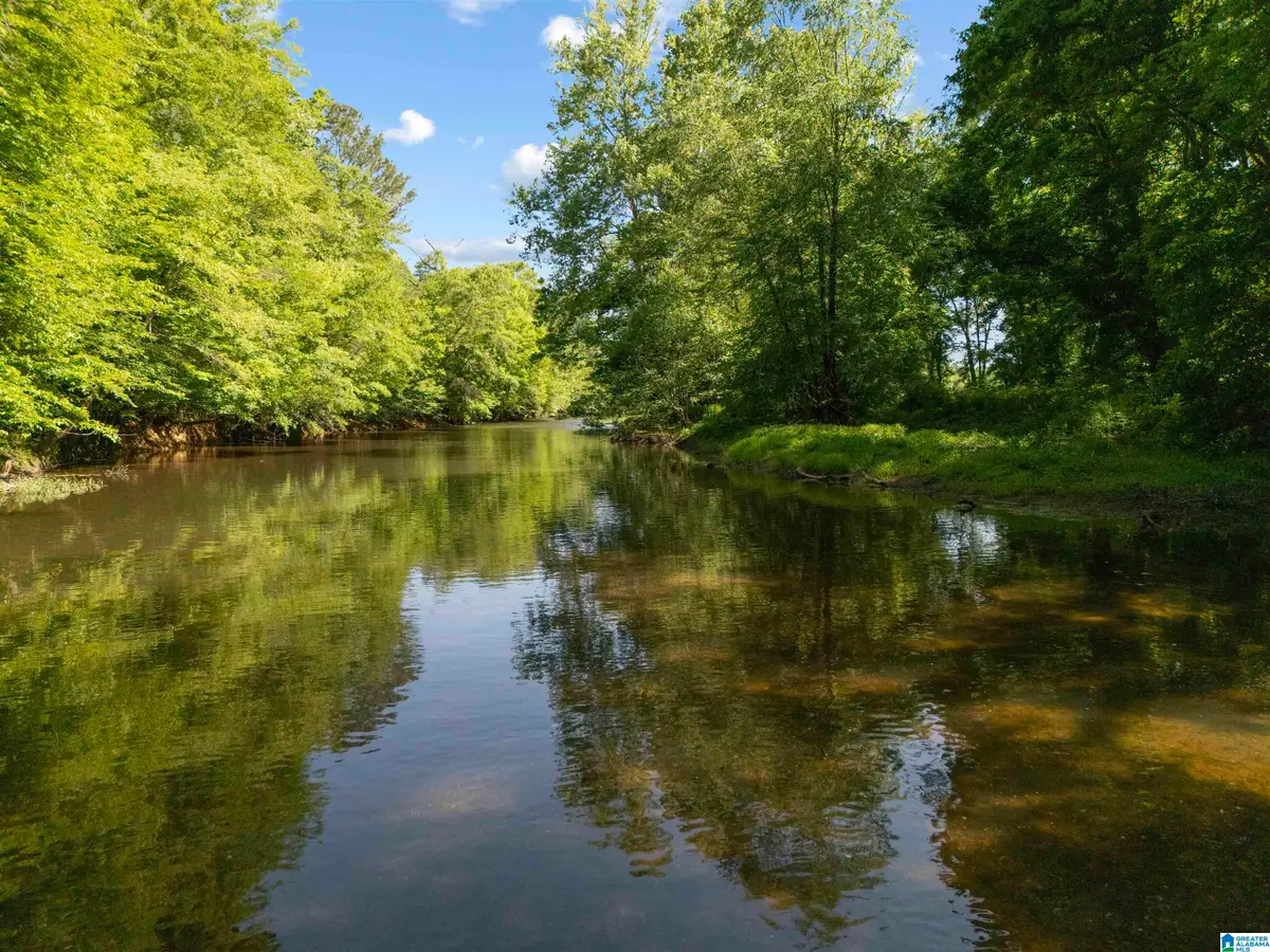 13 Acres COUNTY ROAD 175, Piedmont, AL 36272 - #1
