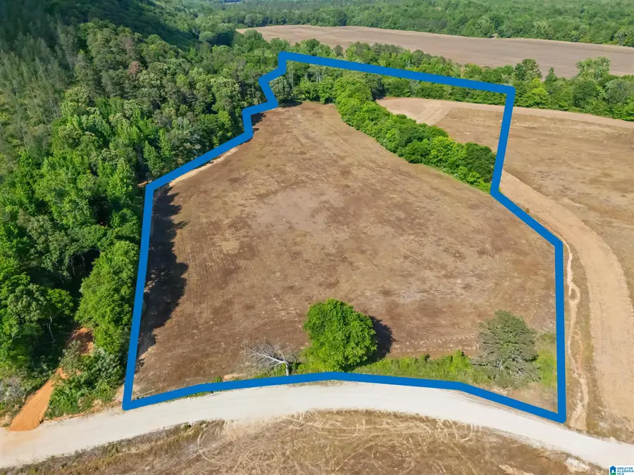 13 Acres COUNTY ROAD 175, Piedmont, AL 36272 - #2