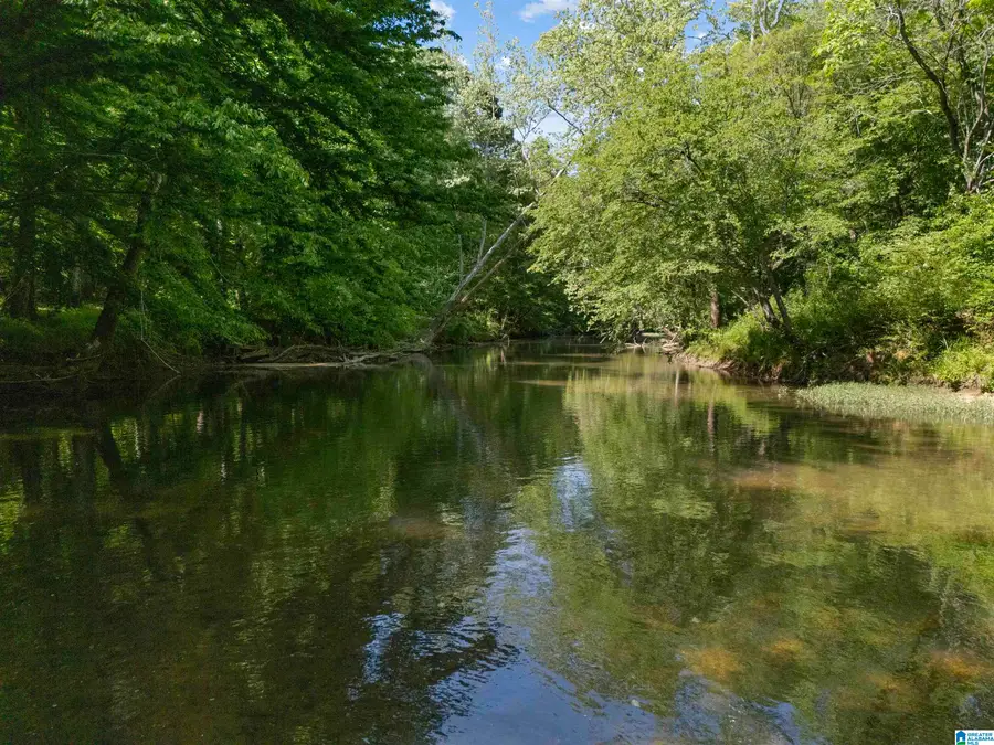 13 Acres COUNTY ROAD 175, Piedmont, AL 36272 - #3