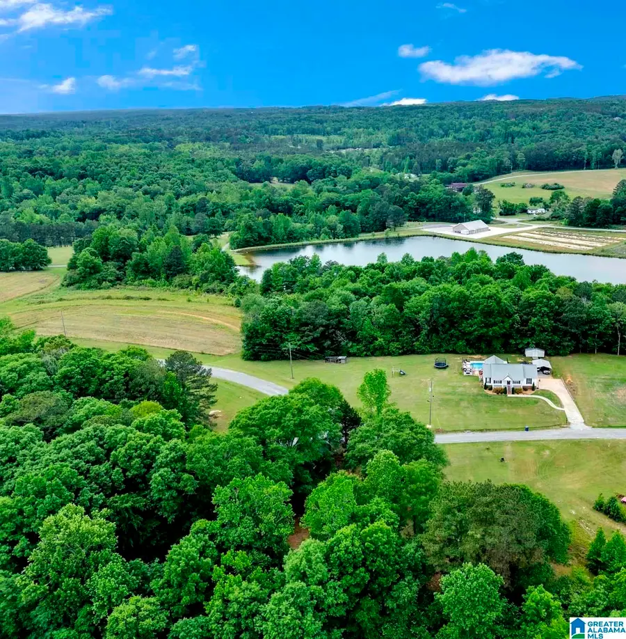292 ELBERT GALLIMORE ROAD, Hayden, AL 35079 - #2