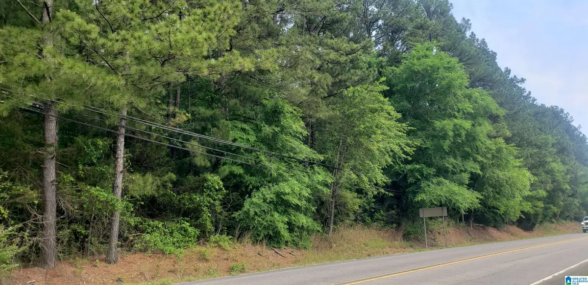 0 US HIGHWAY 11, Springville, AL 35146 - #1