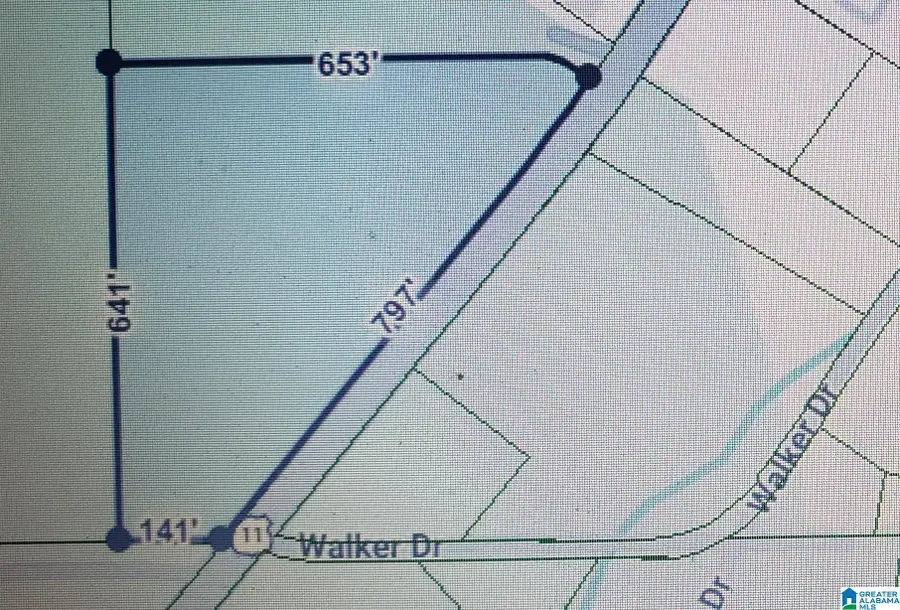 0 US HIGHWAY 11, Springville, AL 35146 - #3