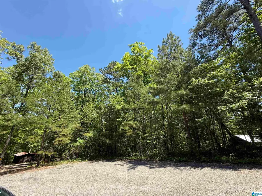 LOT 8 WINDING CREEK LANE, Arley, AL 35541 - #2