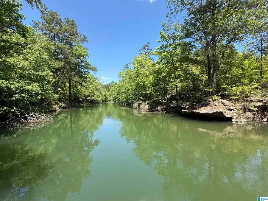 LOT 8 WINDING CREEK LANE, Arley, AL 35541 - #3