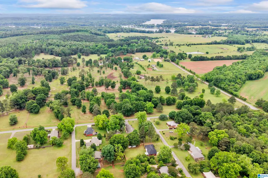 60 BRELAND STREET, Wilsonville, AL 35186 - #2