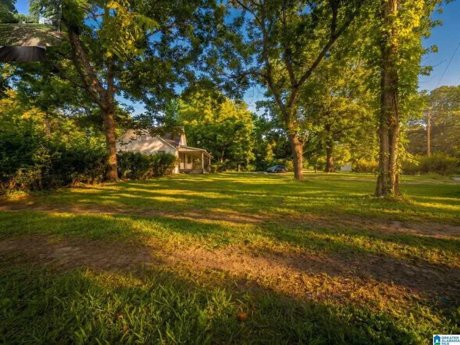 3209 ELM STREET, Adamsville, AL 35005 - #3