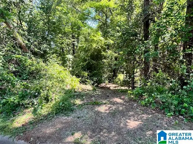 218 CHESTNUT FOREST CIRCLE, Helena, AL 35080 - #1