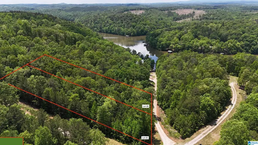 Lot 25 SAWYER BOAT RAM ROAD, Wedowee, AL 36278 - #2