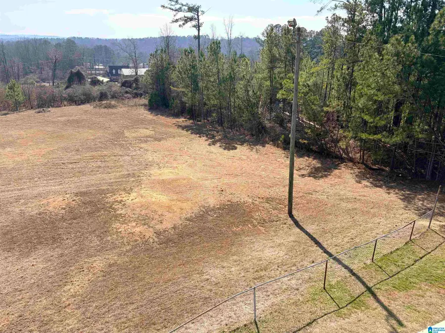 7452 HIGHWAY 78, Dora, AL 35062 - #3