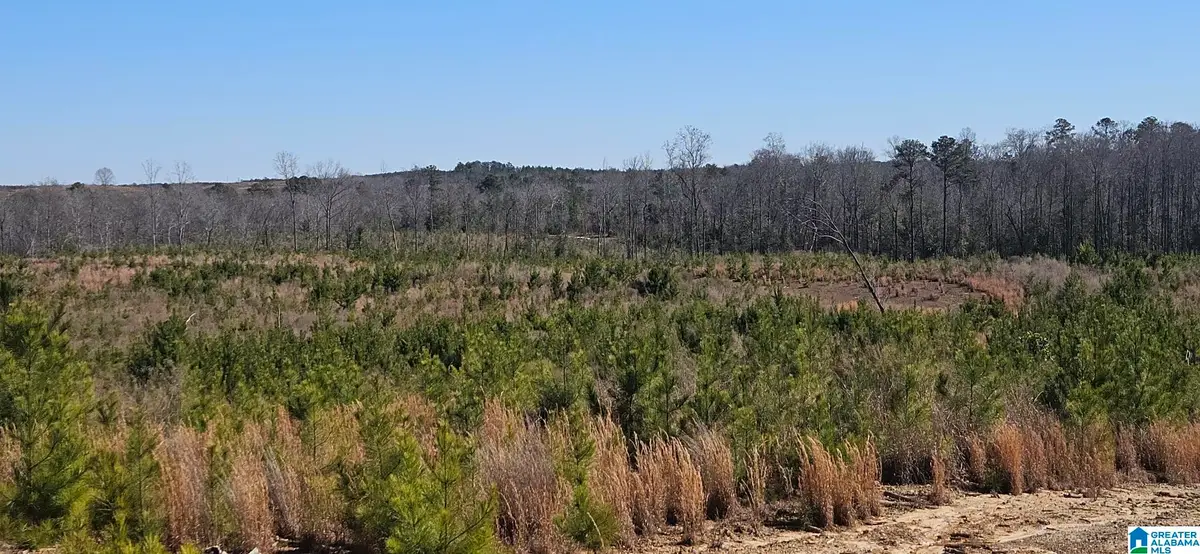 0 HIGHWAY 139, Randolph, AL 36792 - #1
