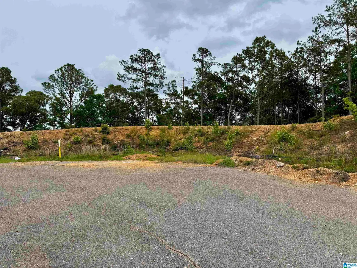 150 BROKEN ARROW LANE, Sylacauga, AL 35151 - #1